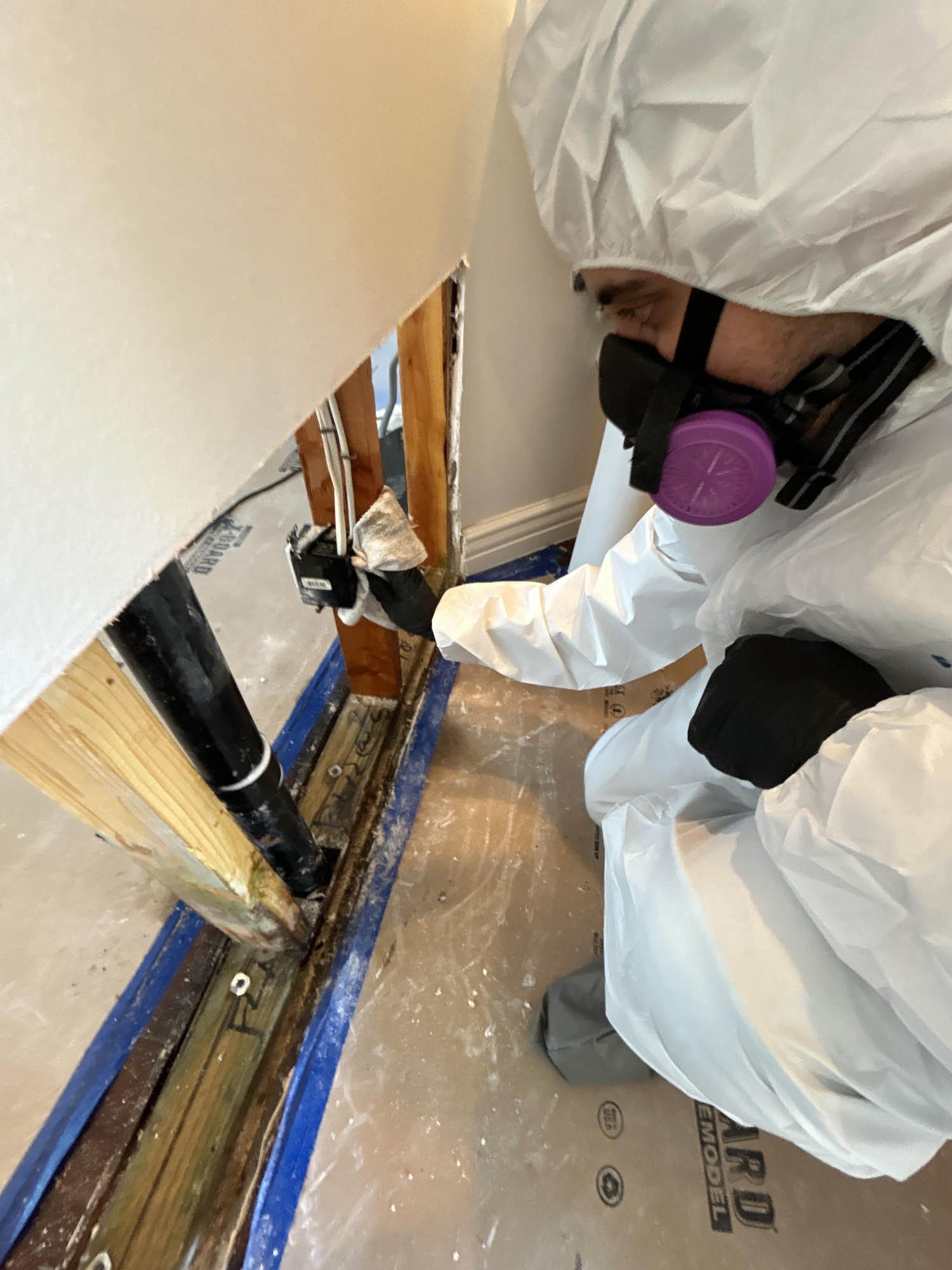 Water Damage Clean up Studs