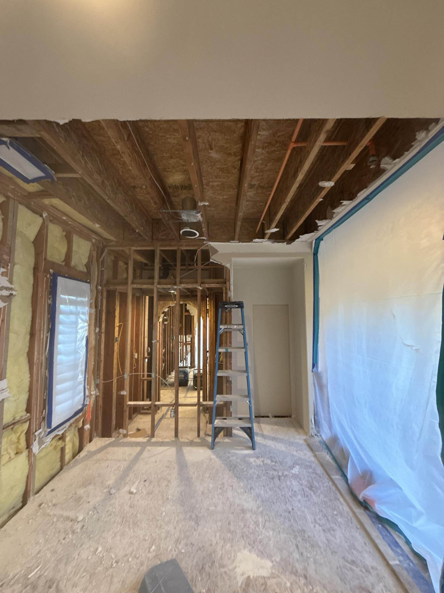 Water Damage Mitigation and Mold Removal with Plastic Containment