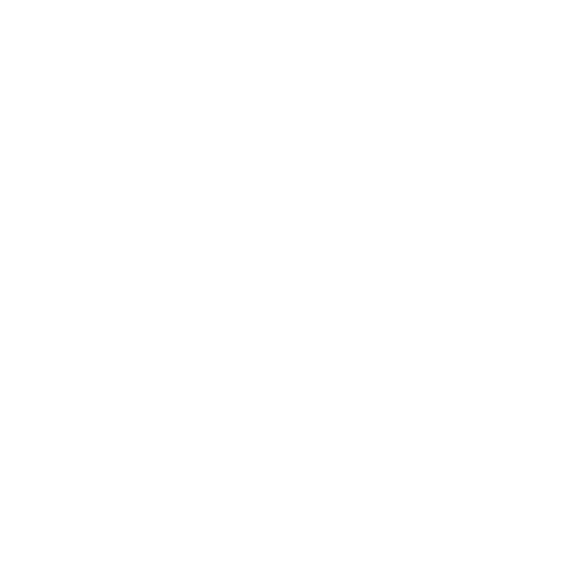 flood icon