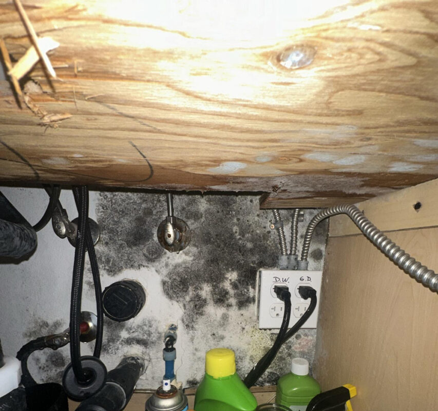 mold damage remediation orange County CA