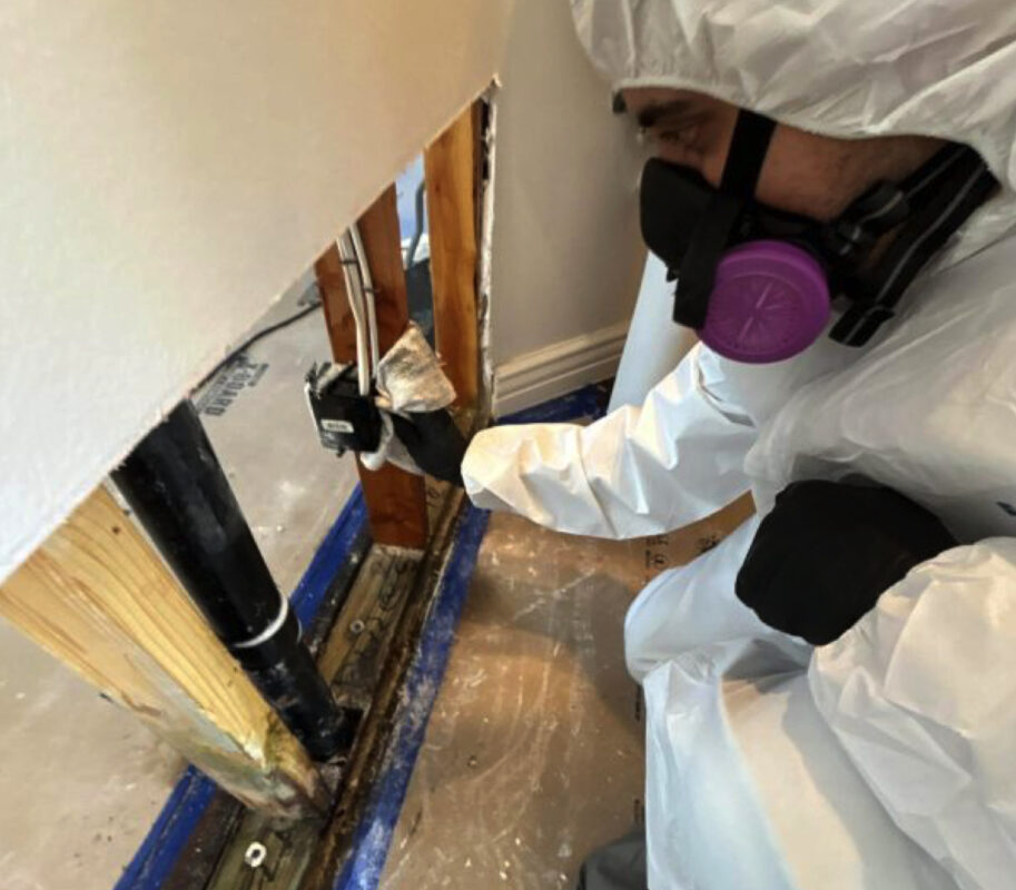 Mold Inspection Anaheim CA