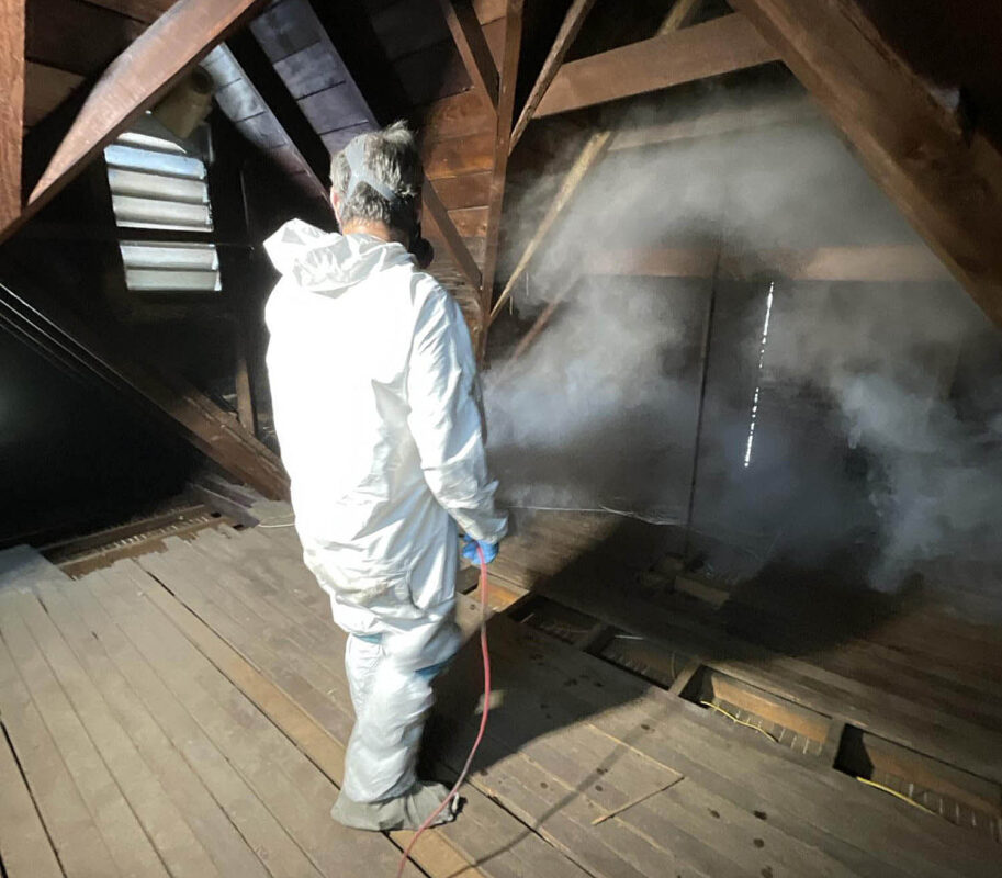 Mold Removal Irvine CA